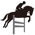 乗馬・馬術